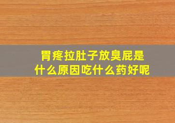 胃疼拉肚子放臭屁是什么原因吃什么药好呢