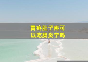 胃疼肚子疼可以吃肠炎宁吗