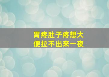 胃疼肚子疼想大便拉不出来一夜