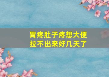 胃疼肚子疼想大便拉不出来好几天了