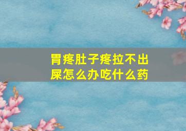 胃疼肚子疼拉不出屎怎么办吃什么药