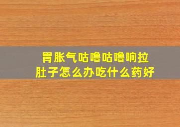 胃胀气咕噜咕噜响拉肚子怎么办吃什么药好