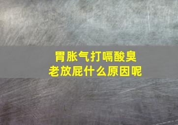 胃胀气打嗝酸臭老放屁什么原因呢