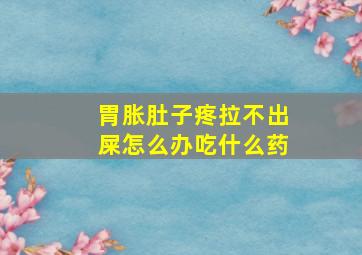 胃胀肚子疼拉不出屎怎么办吃什么药