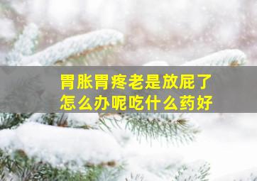 胃胀胃疼老是放屁了怎么办呢吃什么药好