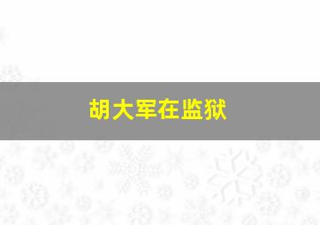 胡大军在监狱