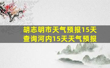 胡志明市天气预报15天查询河内15天天气预报