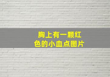 胸上有一颗红色的小血点图片