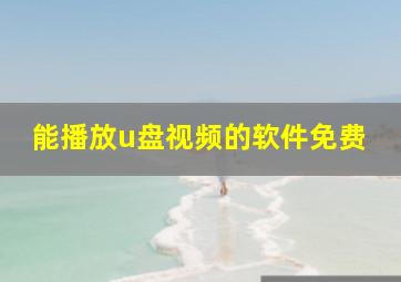 能播放u盘视频的软件免费