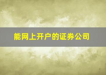 能网上开户的证券公司