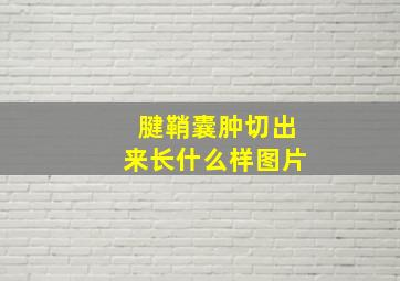 腱鞘囊肿切出来长什么样图片