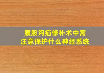 腹股沟疝修补术中需注意保护什么神经系统