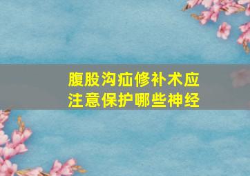 腹股沟疝修补术应注意保护哪些神经