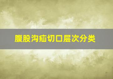 腹股沟疝切口层次分类