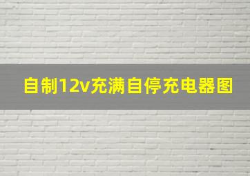 自制12v充满自停充电器图