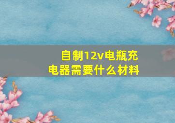 自制12v电瓶充电器需要什么材料