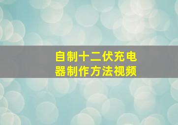 自制十二伏充电器制作方法视频