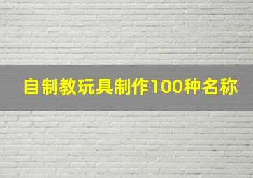 自制教玩具制作100种名称