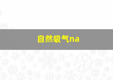 自然吸气na