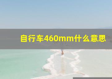 自行车460mm什么意思