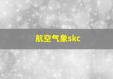 航空气象skc