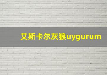 艾斯卡尔灰狼uygurum