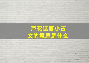 芦花这首小古文的意思是什么