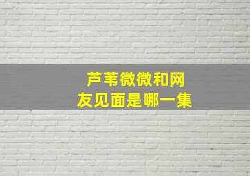 芦苇微微和网友见面是哪一集