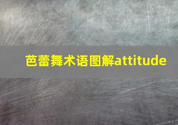 芭蕾舞术语图解attitude