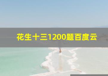 花生十三1200题百度云