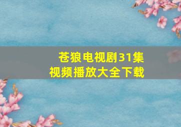 苍狼电视剧31集视频播放大全下载