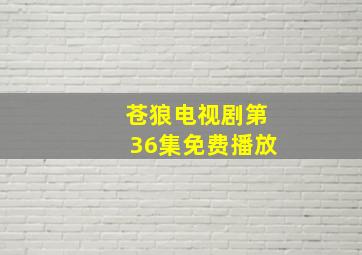 苍狼电视剧第36集免费播放