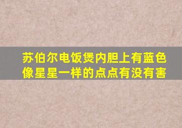 苏伯尔电饭煲内胆上有蓝色像星星一样的点点有没有害