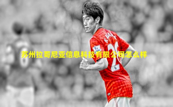 苏州拉哥尼亚信息科技有限公司怎么样