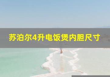 苏泊尔4升电饭煲内胆尺寸