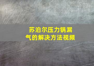 苏泊尔压力锅漏气的解决方法视频