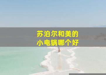 苏泊尔和美的小电锅哪个好