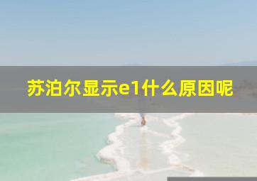 苏泊尔显示e1什么原因呢