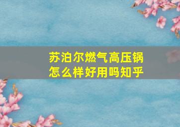 苏泊尔燃气高压锅怎么样好用吗知乎