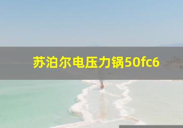 苏泊尔电压力锅50fc6