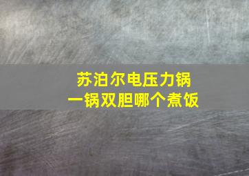 苏泊尔电压力锅一锅双胆哪个煮饭