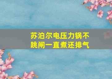 苏泊尔电压力锅不跳闸一直煮还排气