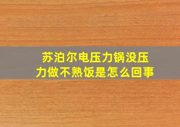 苏泊尔电压力锅没压力做不熟饭是怎么回事