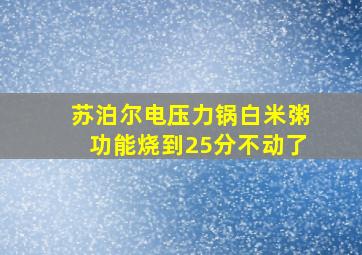 苏泊尔电压力锅白米粥功能烧到25分不动了