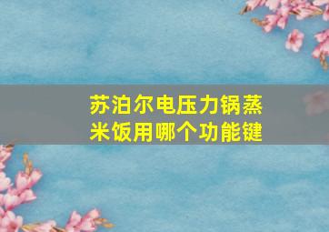 苏泊尔电压力锅蒸米饭用哪个功能键