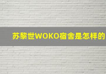 苏黎世WOKO宿舍是怎样的