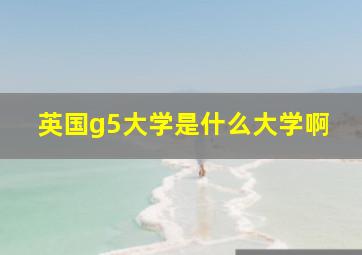 英国g5大学是什么大学啊