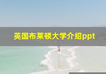 英国布莱顿大学介绍ppt