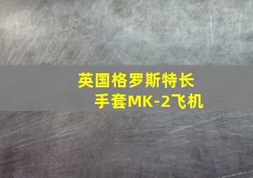 英国格罗斯特长手套MK-2飞机