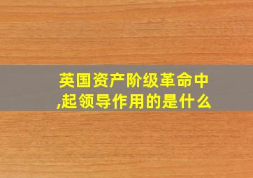 英国资产阶级革命中,起领导作用的是什么